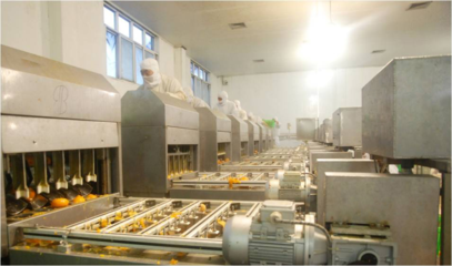 以“新”賦能，“味”見未來！豐島食品走出綠色智造之路